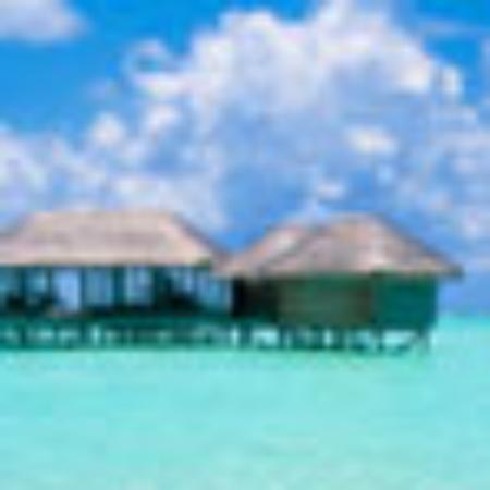 Seonmyeong Sashimi Restaurant